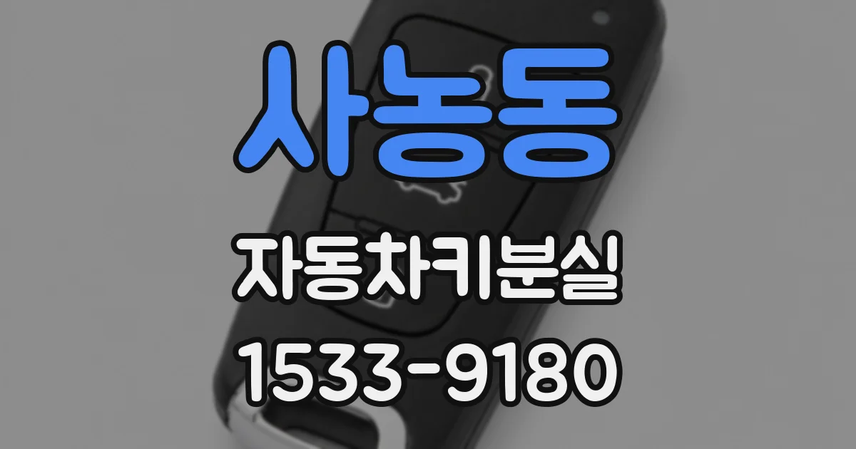 사농동 자동차키분실