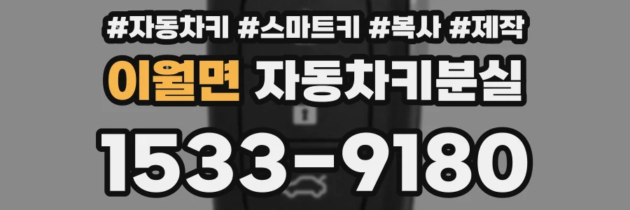 이월면 자동차키분실