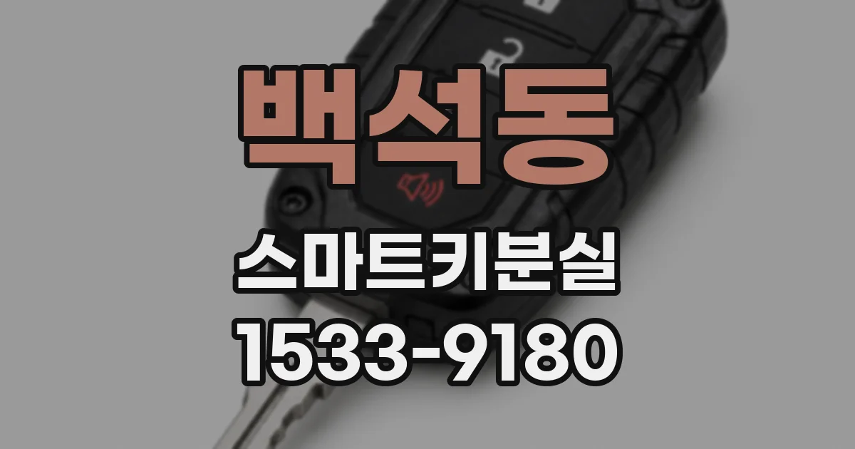 백석동 스마트키분실