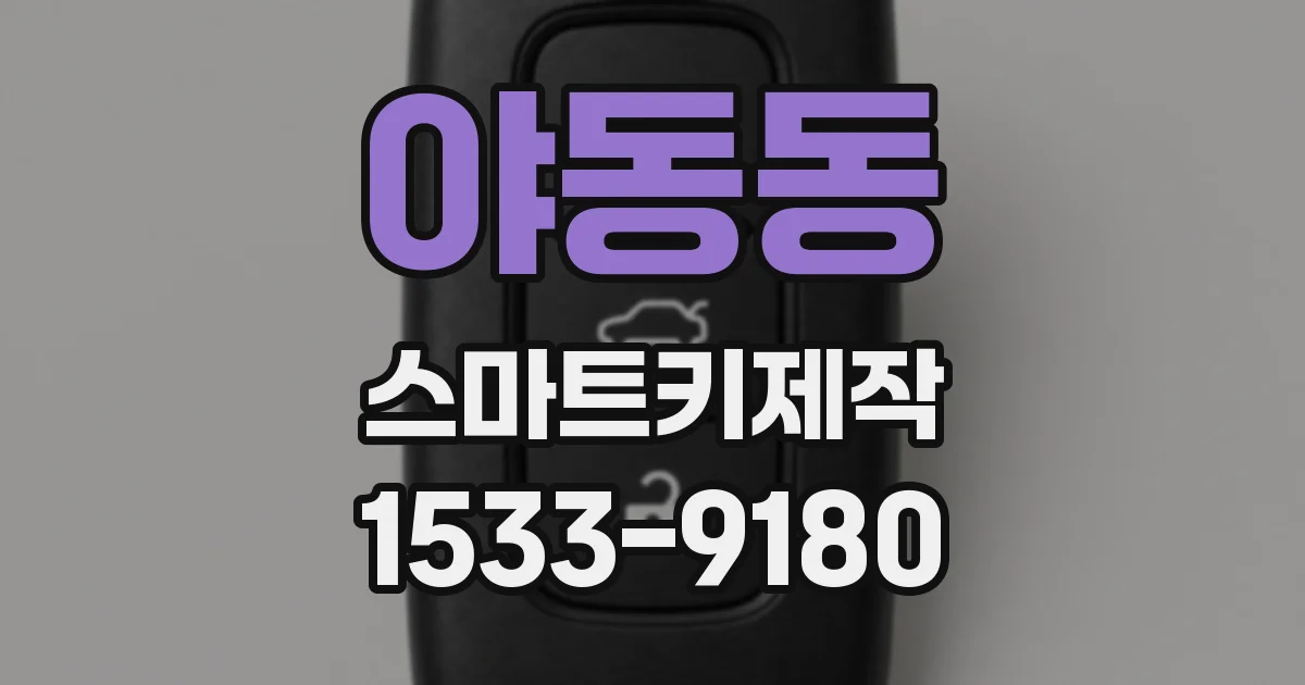 야동동 스마트키제작