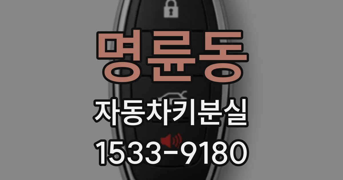 명륜동 자동차키분실