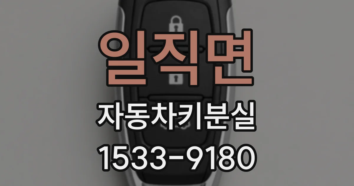 일직면 자동차키분실