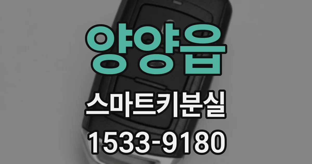 양양읍 스마트키분실