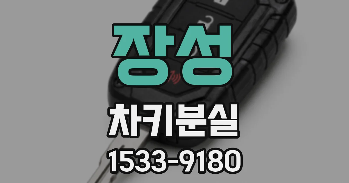 장성 차키분실