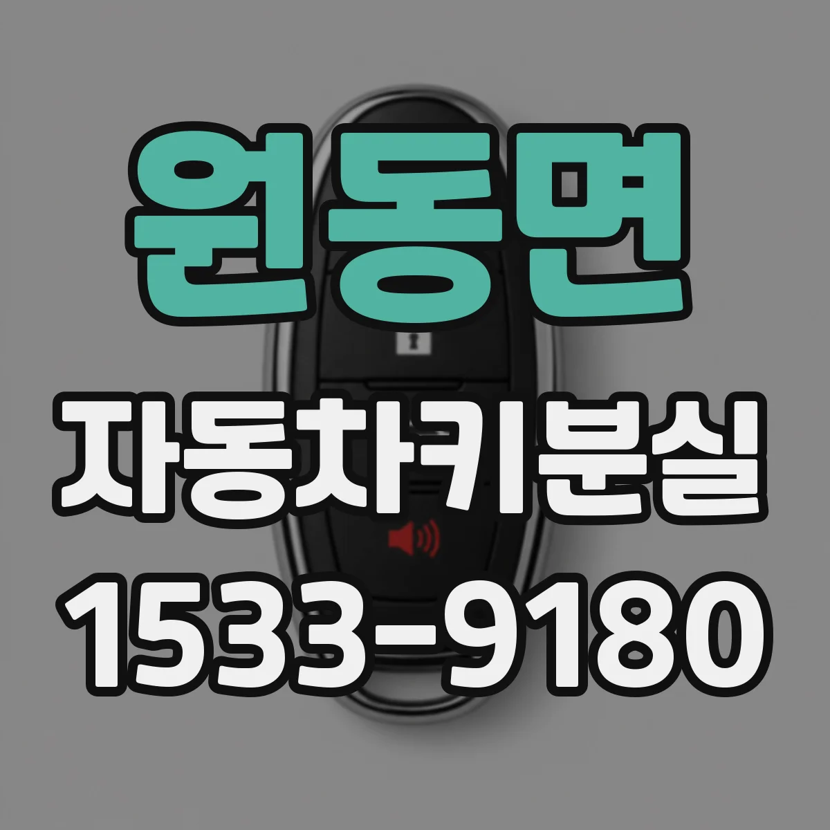 원동면 자동차키분실