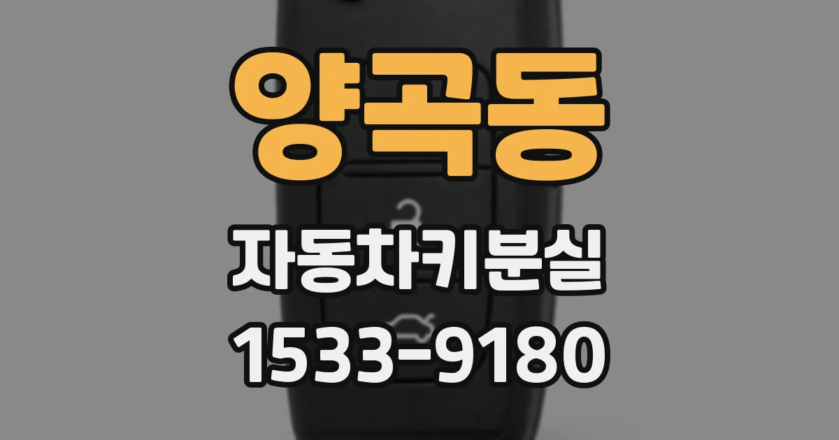 양곡동 자동차키분실