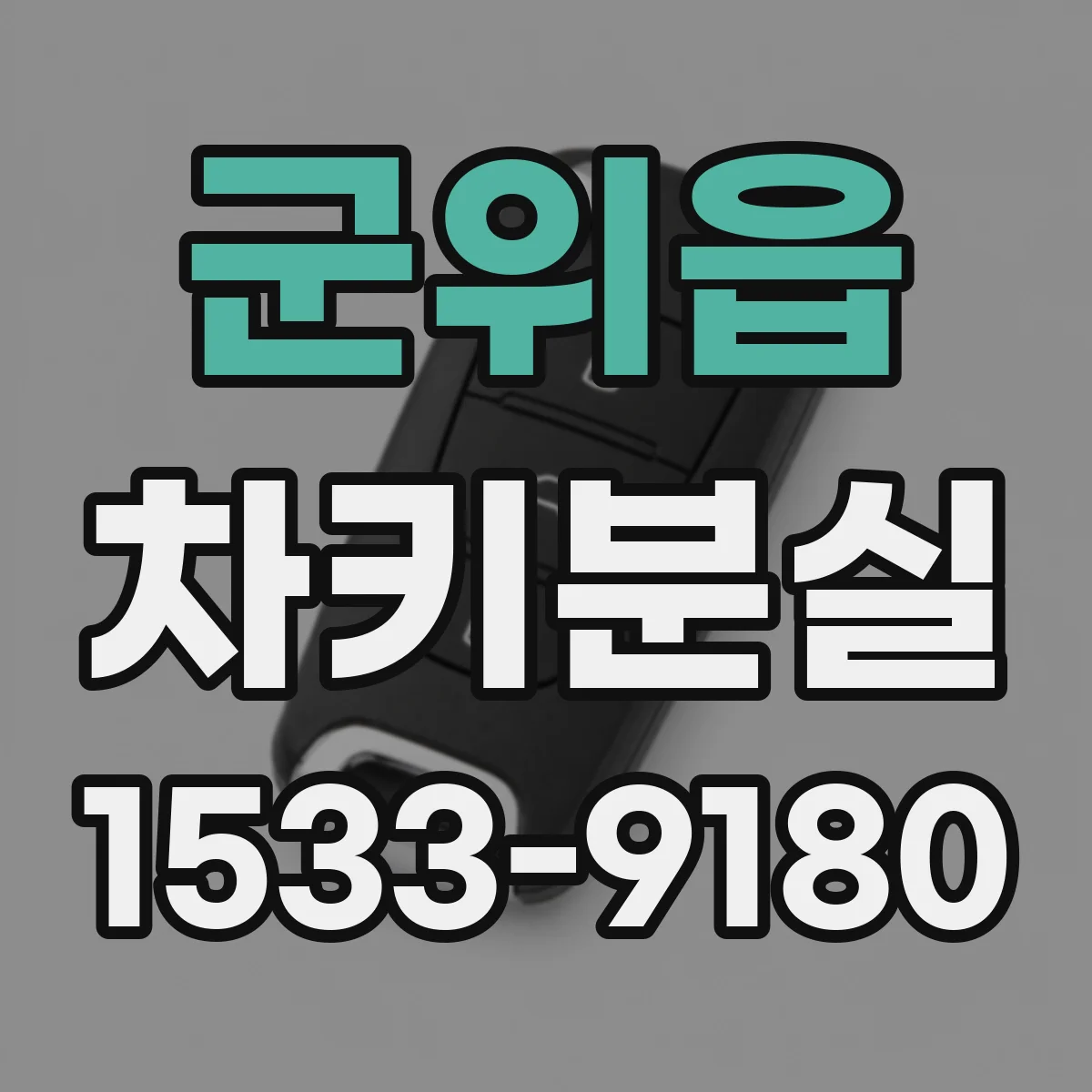 군위읍 차키분실