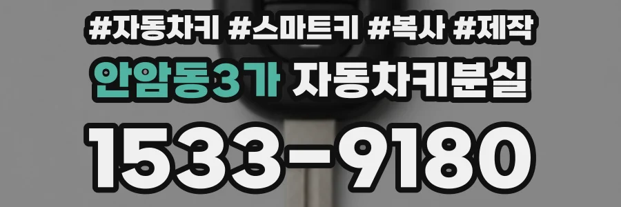 안암동3가 자동차키분실