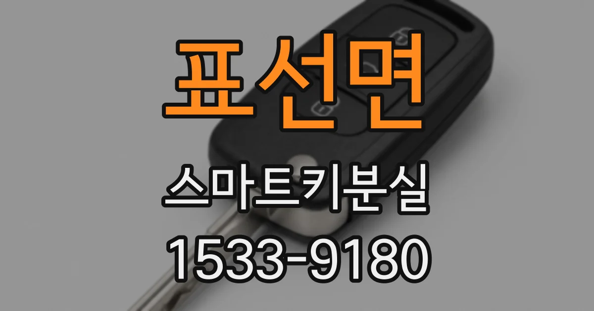 표선면 스마트키분실