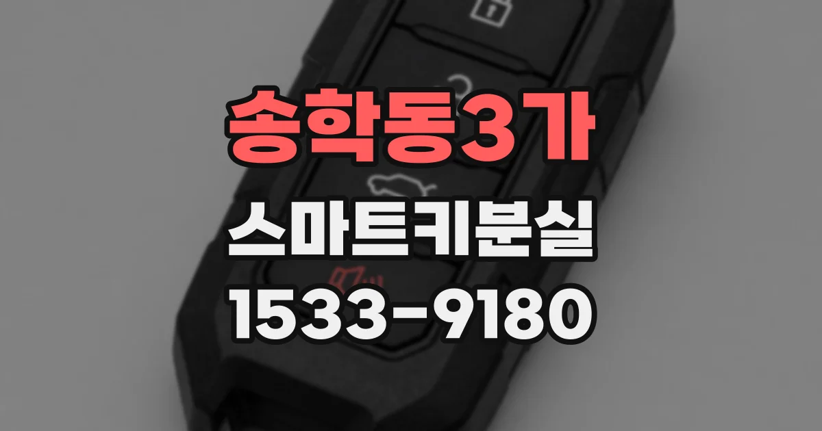 송학동3가 스마트키분실