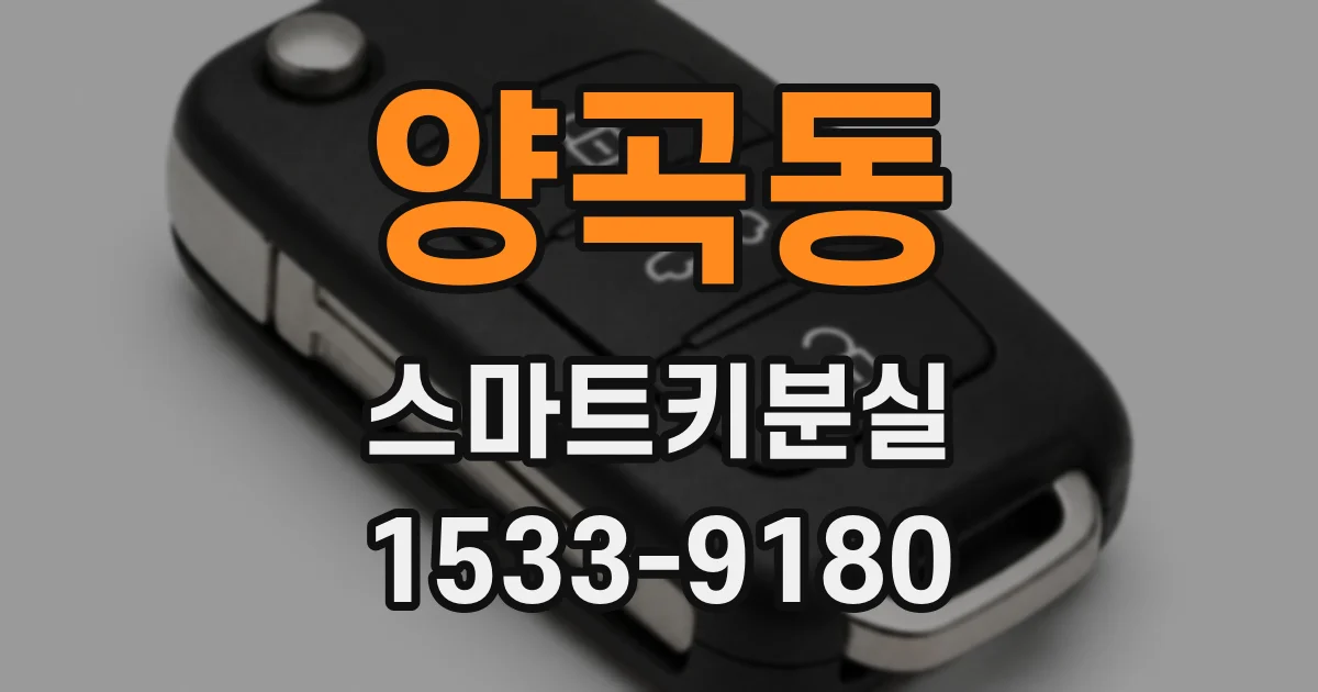 양곡동 스마트키분실