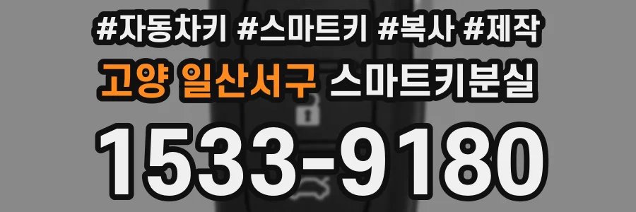 고양 일산서구 스마트키분실