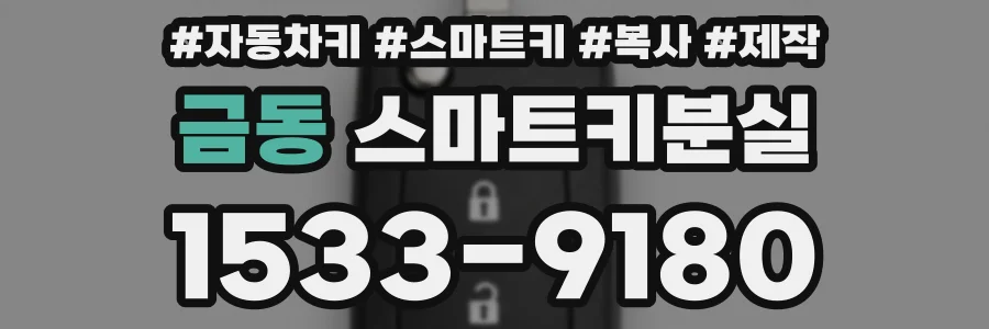 금동 스마트키분실