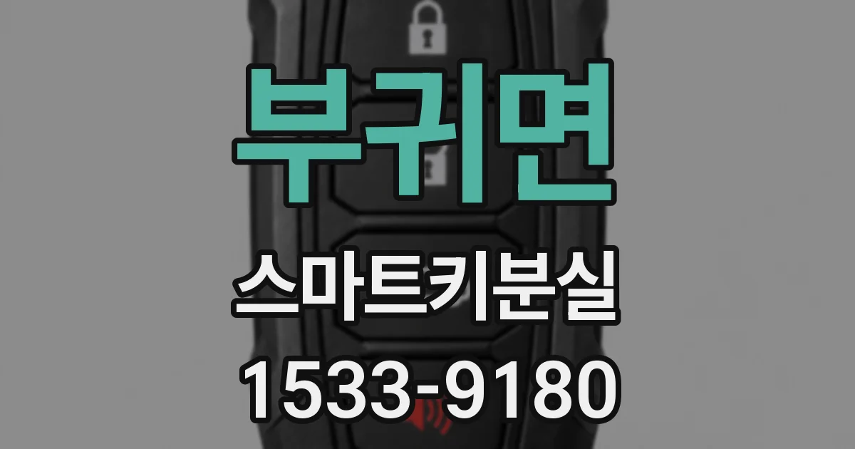 부귀면 스마트키분실