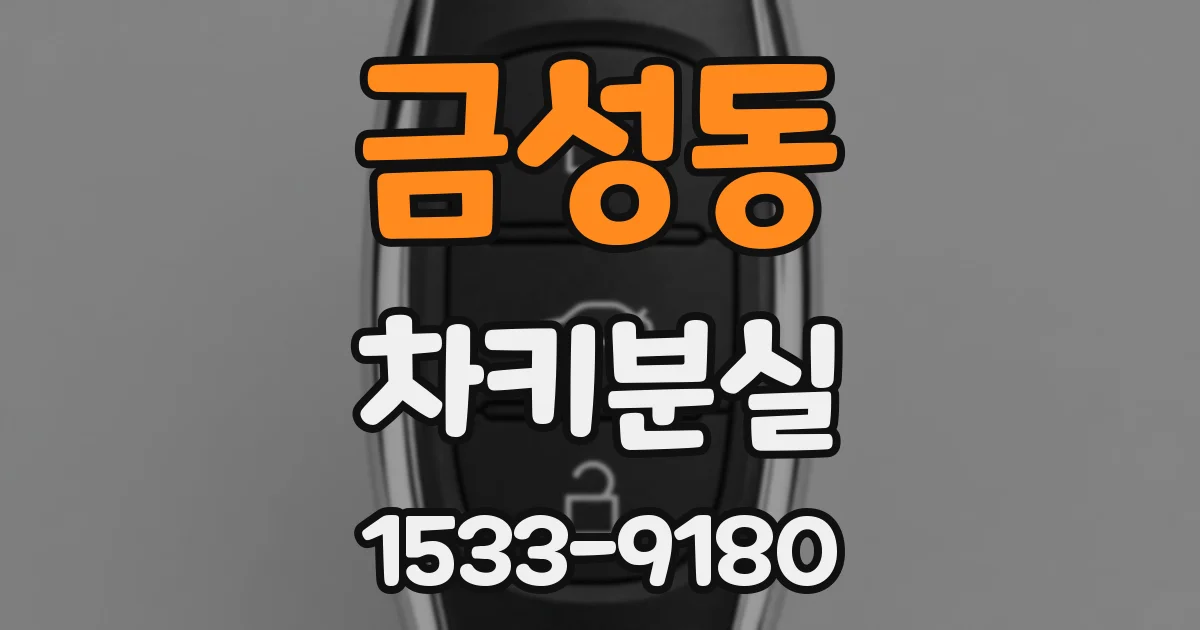 금성동 차키분실