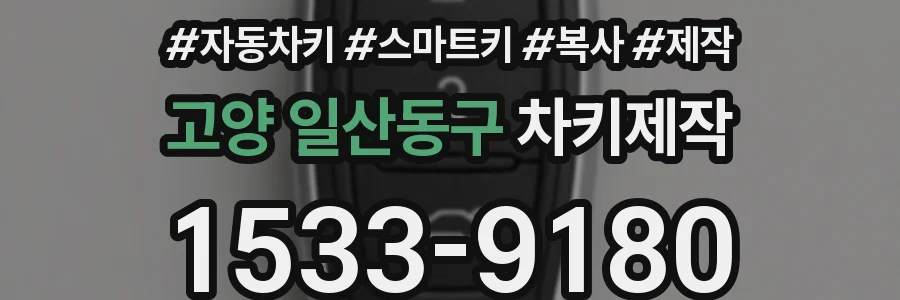 고양 일산동구 차키제작