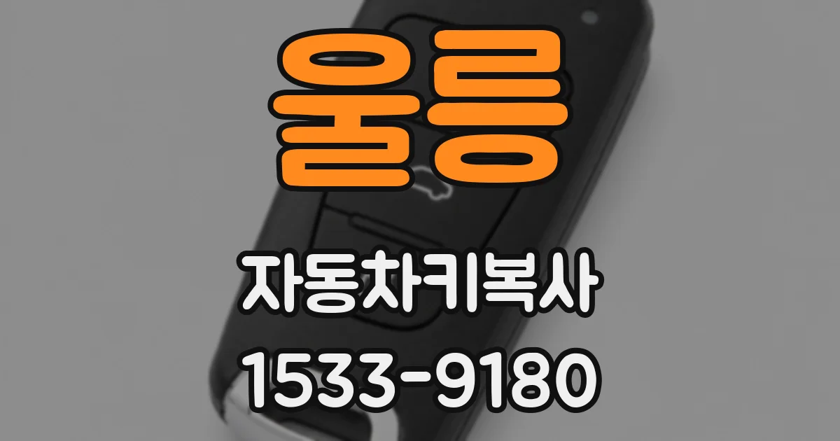 울릉 자동차키복사