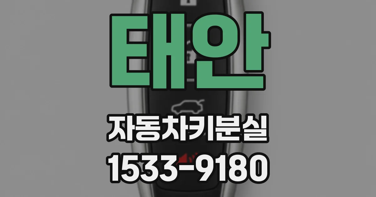 태안 자동차키분실