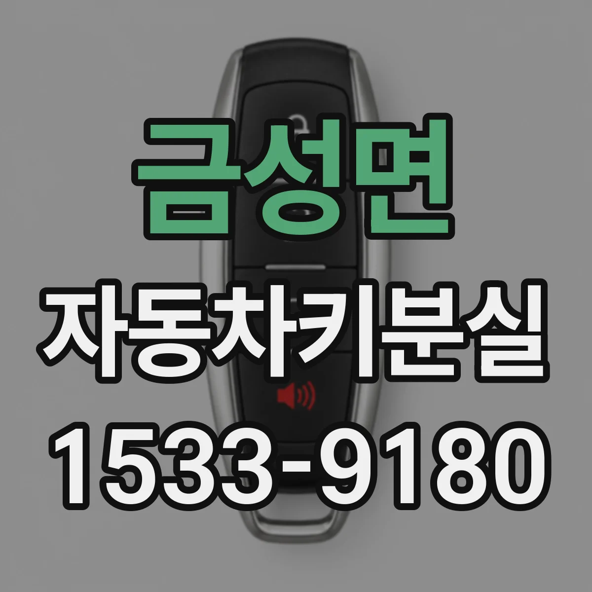 금성면 자동차키분실