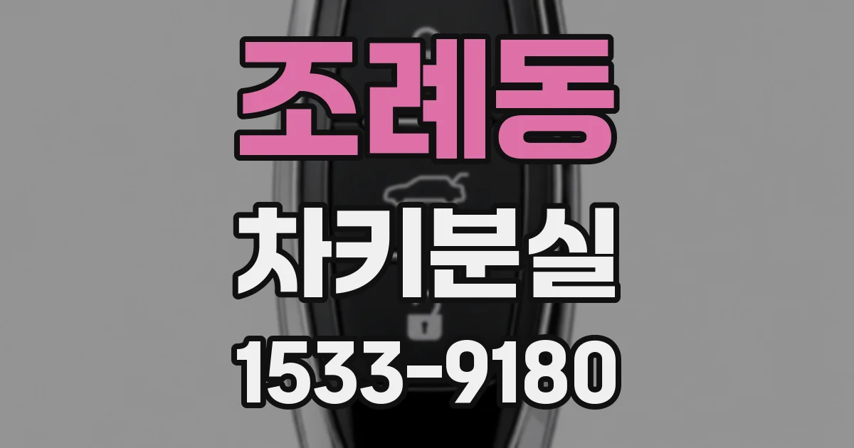 조례동 차키분실