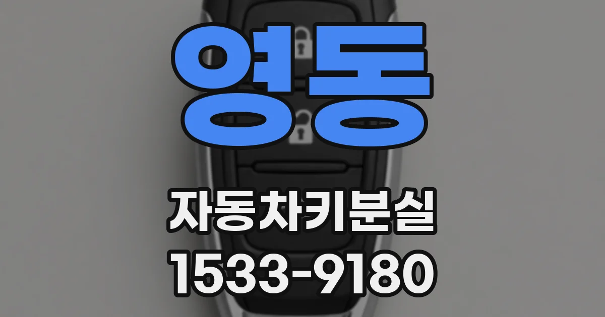 영동 자동차키분실