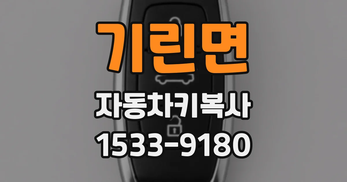 기린면 자동차키복사