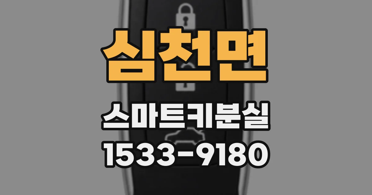 심천면 스마트키분실