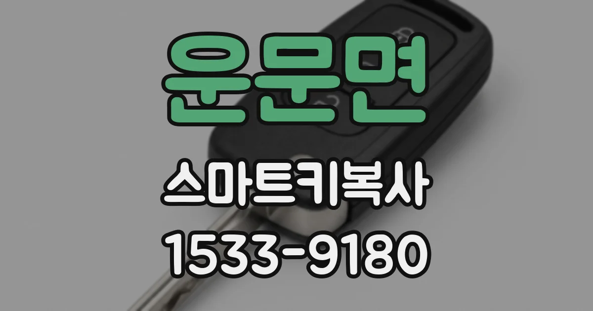 운문면 스마트키복사