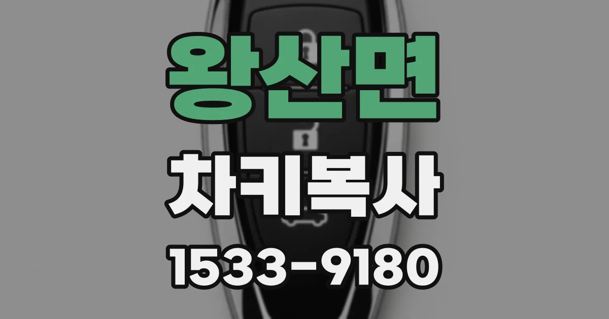 왕산면 차키복사