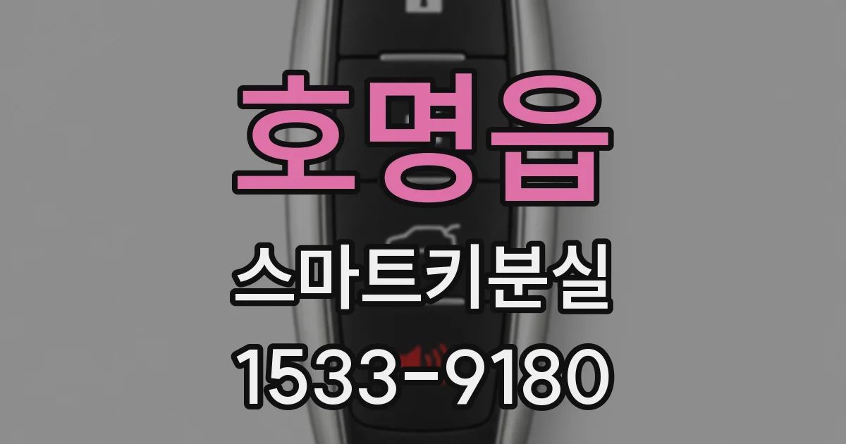 호명읍 스마트키분실