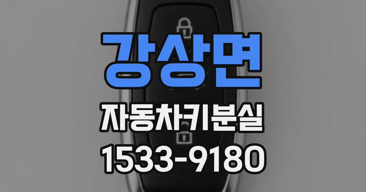 강상면 자동차키분실