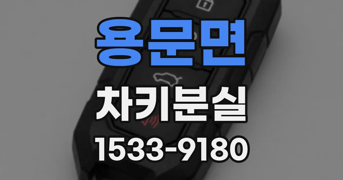 용문면 차키분실