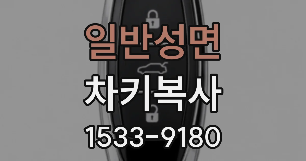 일반성면 차키복사