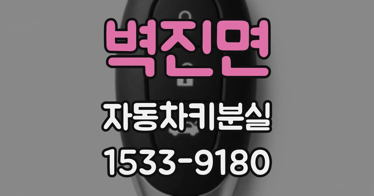 벽진면 자동차키분실