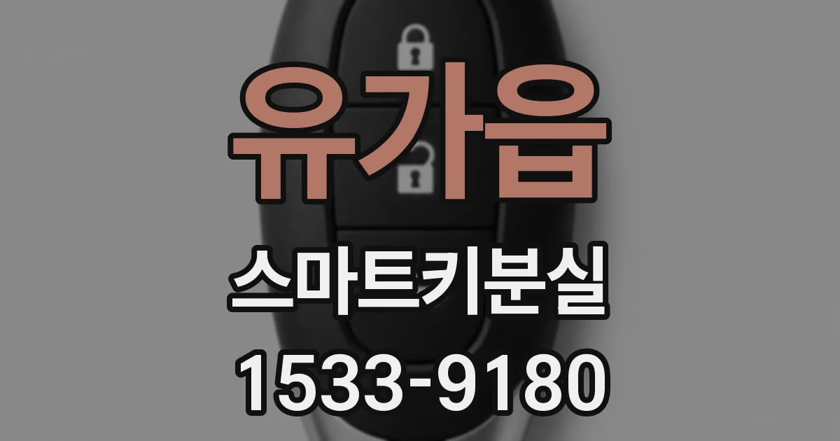 유가읍 스마트키분실
