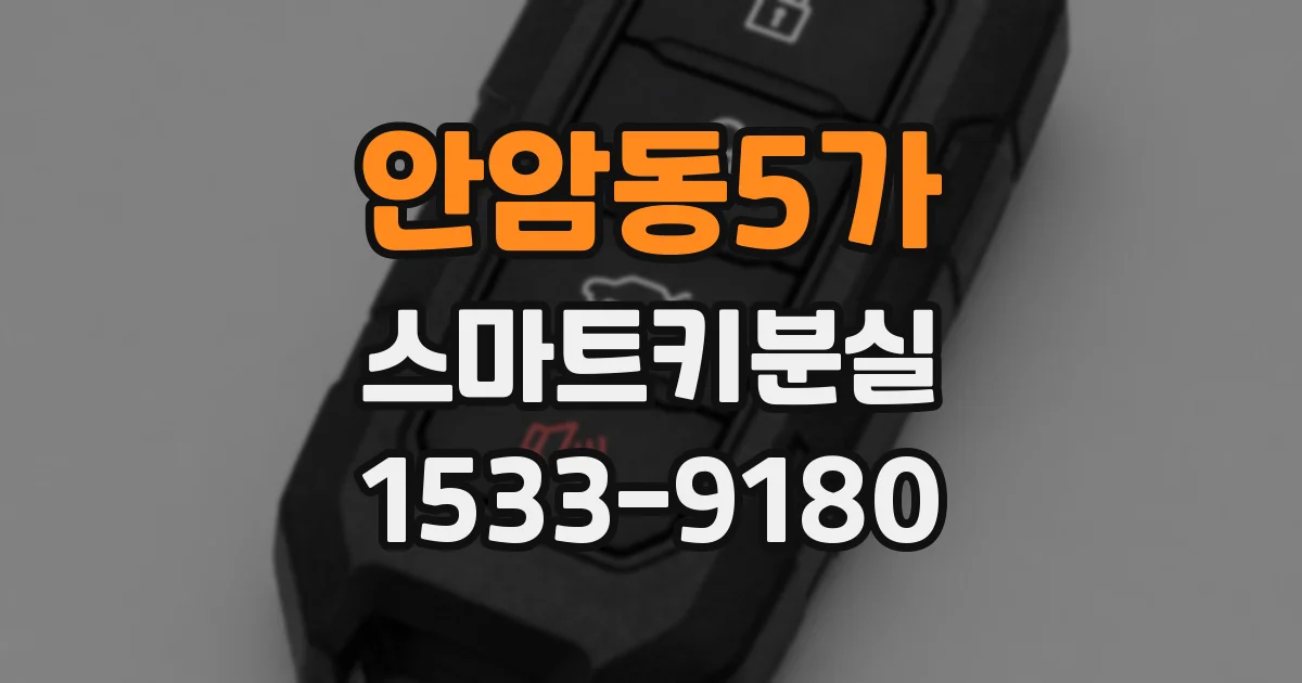 안암동5가 스마트키분실