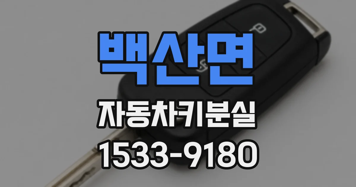 백산면 자동차키분실