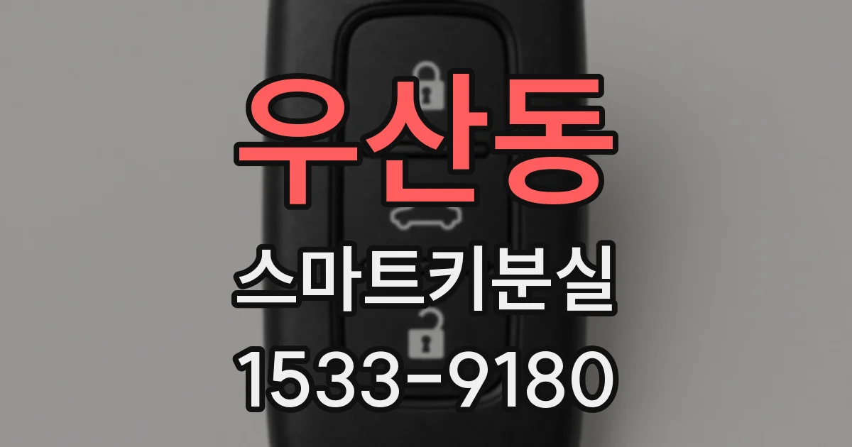우산동 스마트키분실