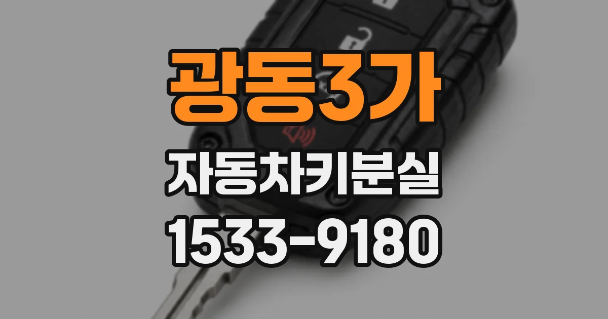 광동3가 자동차키분실