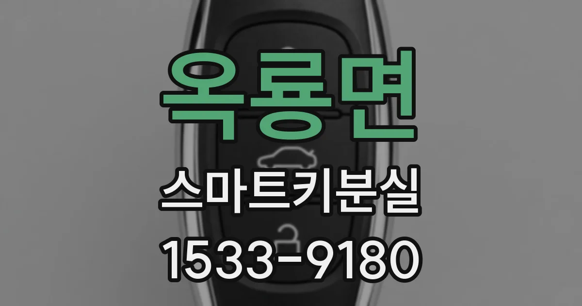 옥룡면 스마트키분실