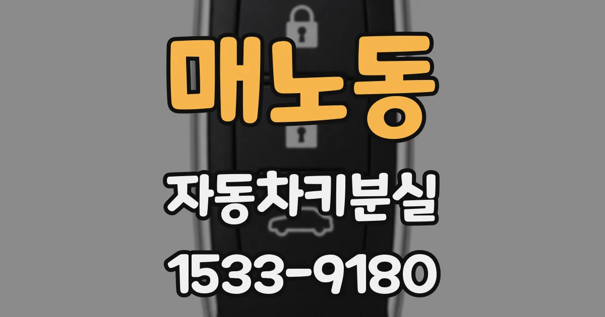 매노동 자동차키분실
