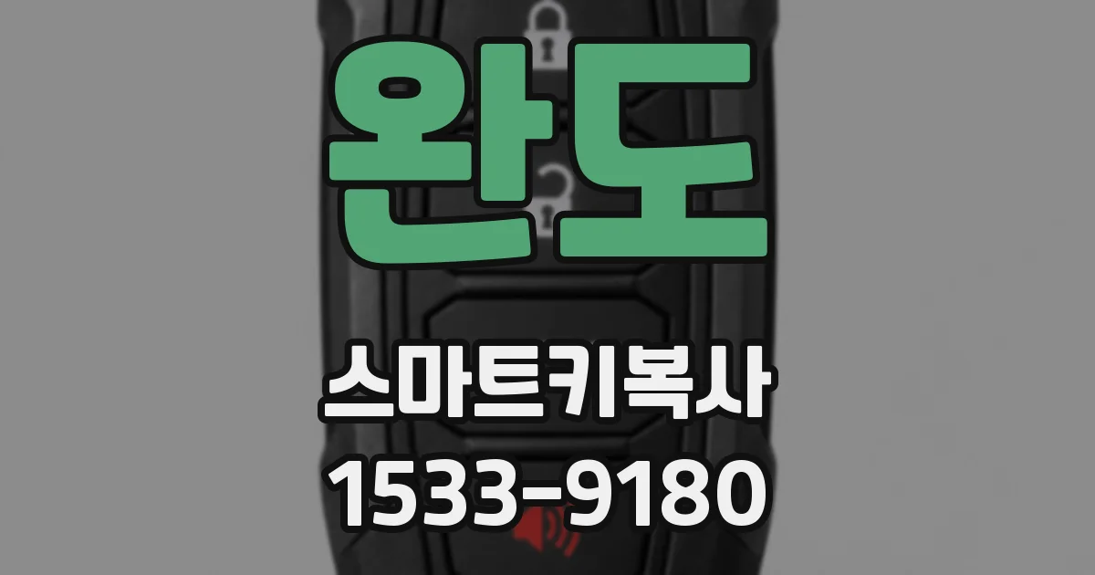 완도 스마트키복사