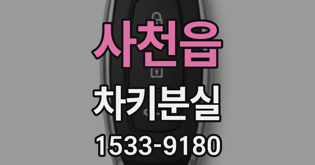 사천읍 차키분실