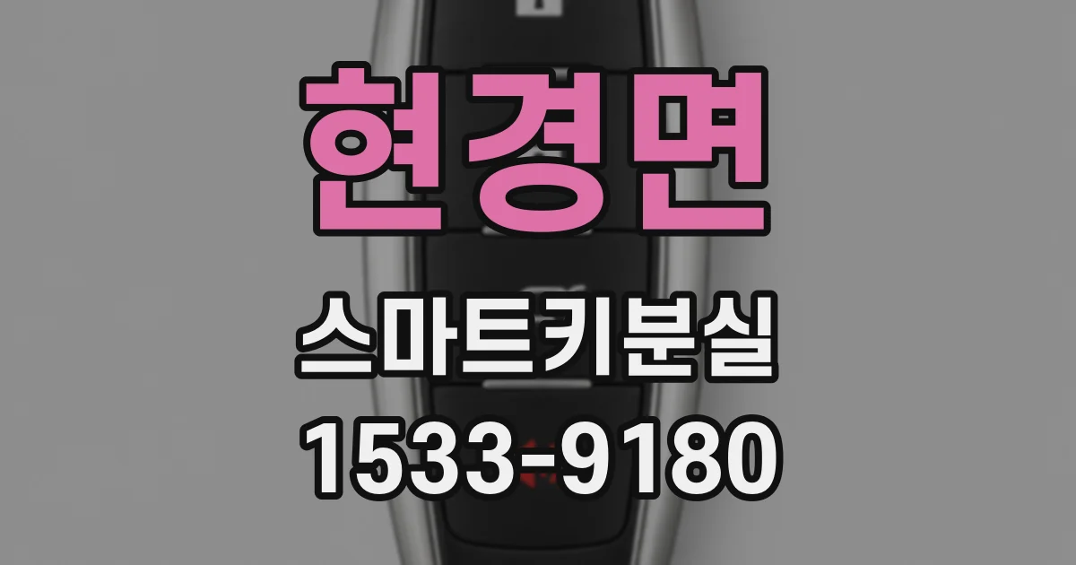 현경면 스마트키분실