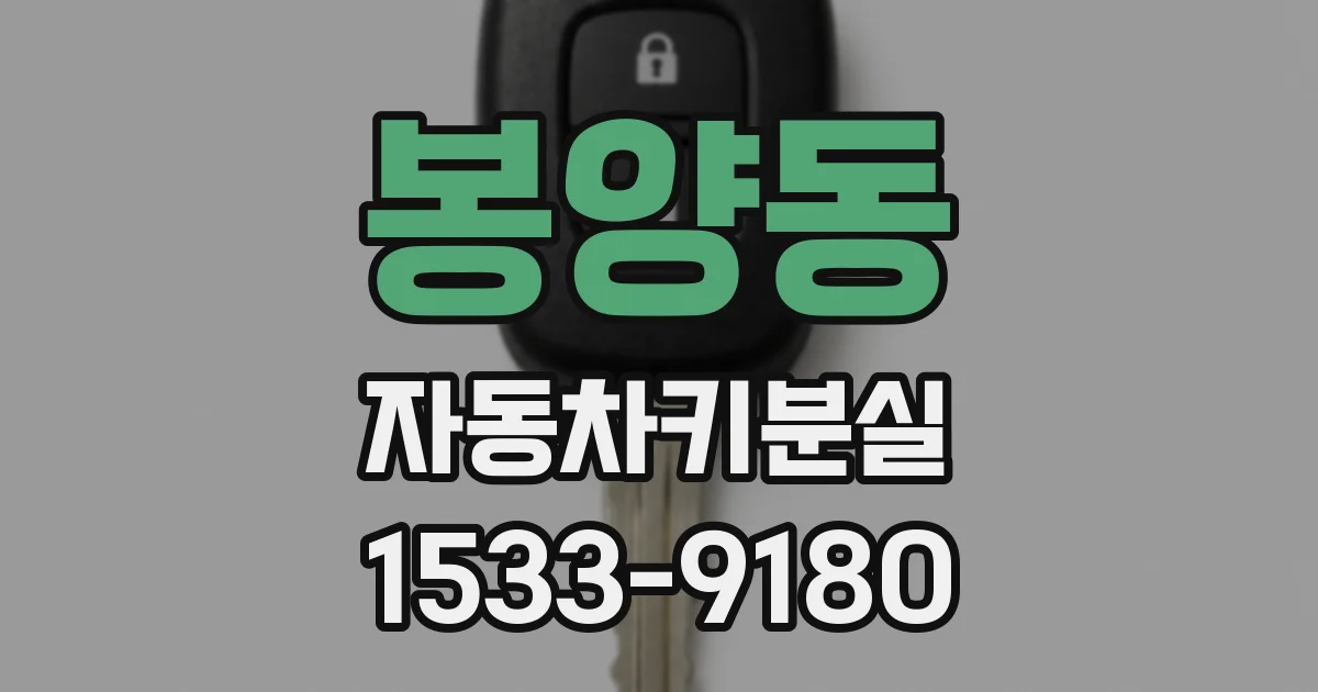 봉양동 자동차키분실