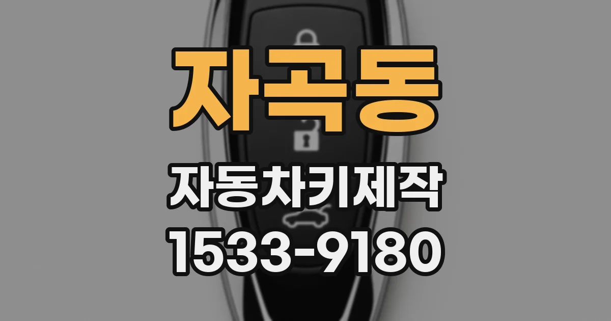 자곡동 자동차키제작