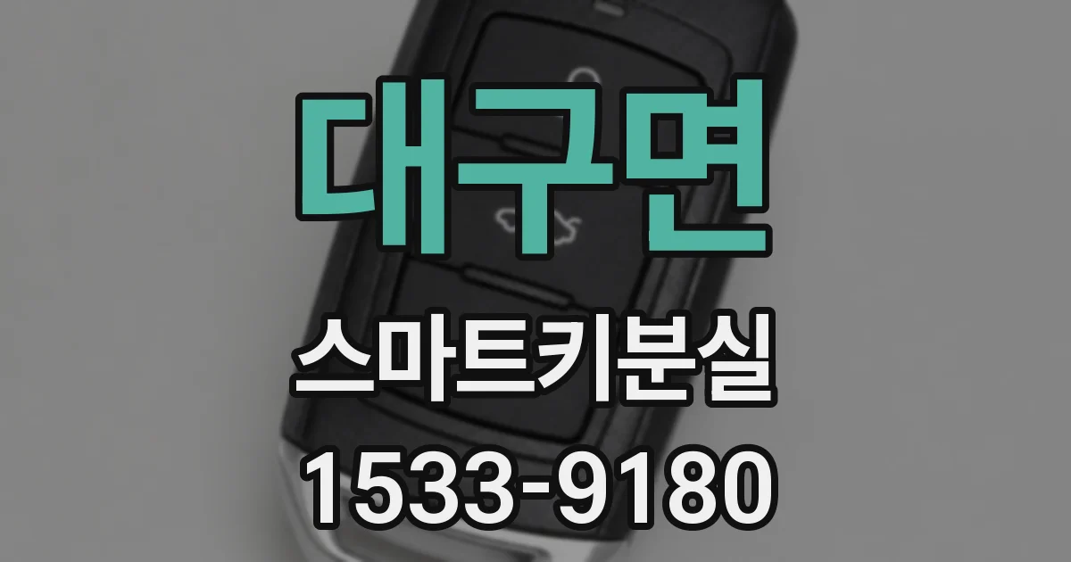 대구면 스마트키분실