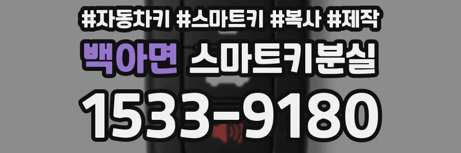 백아면 스마트키분실