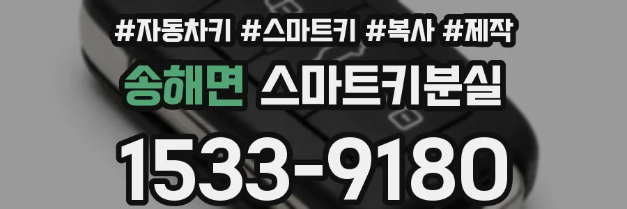 송해면 스마트키분실