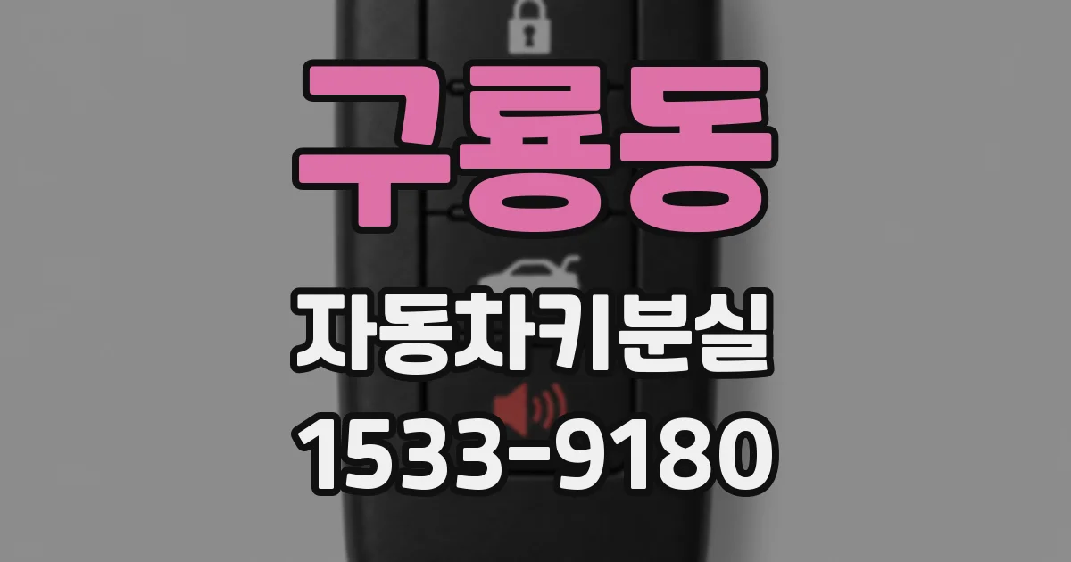 구룡동 자동차키분실